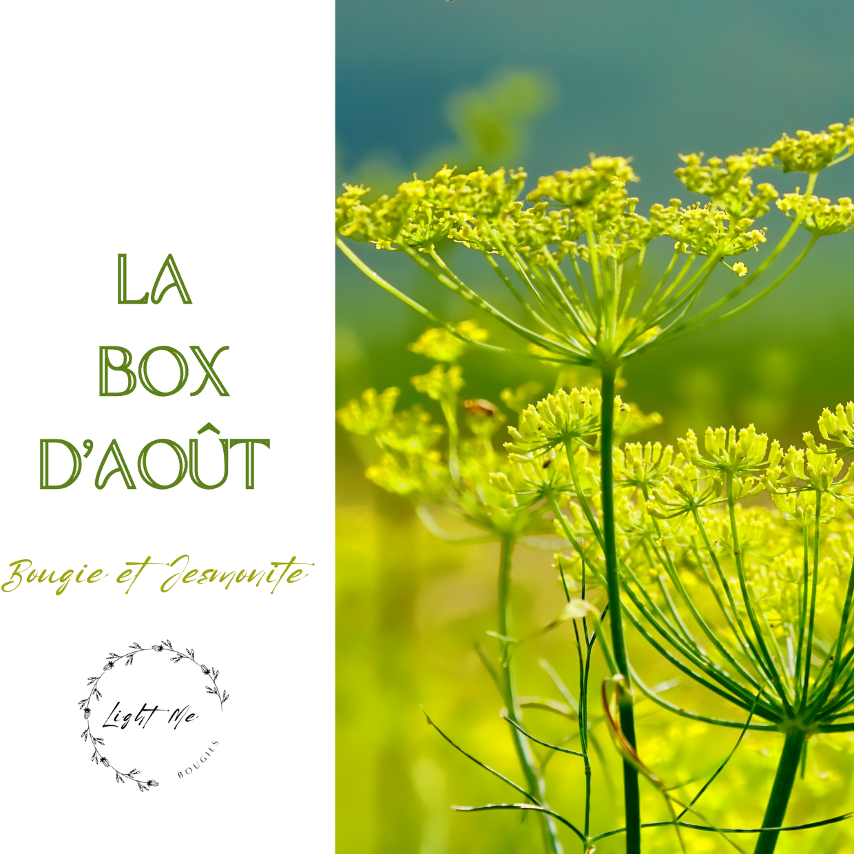 Box Surprise bougie et décoration d'Août